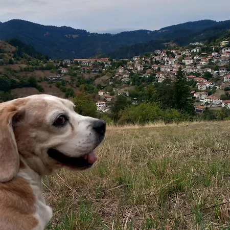 Rhodope House Momchil Yunak Momchilovtsi (Smolyan)
